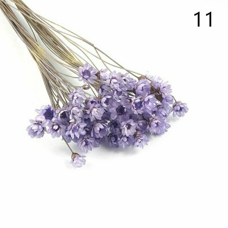 1 Pack Real Pressed Dried Flowers For Art Craft Resin Pendant Jewellery Making
