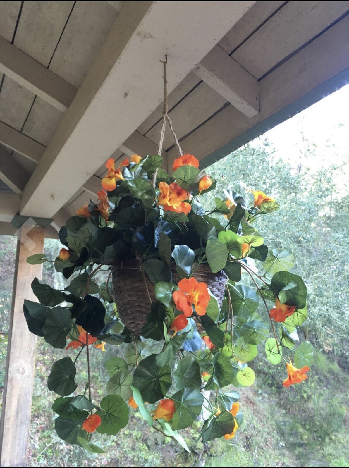22” Nasturtium Artificial Faux Plant in Hanging Basket Home Decor. Retail $84