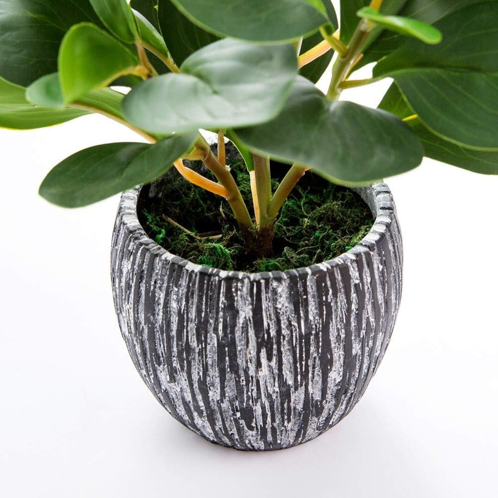 Beautifully Realistic Fiddle Leaf Fig Plant with Cement Planter for Modern Homes