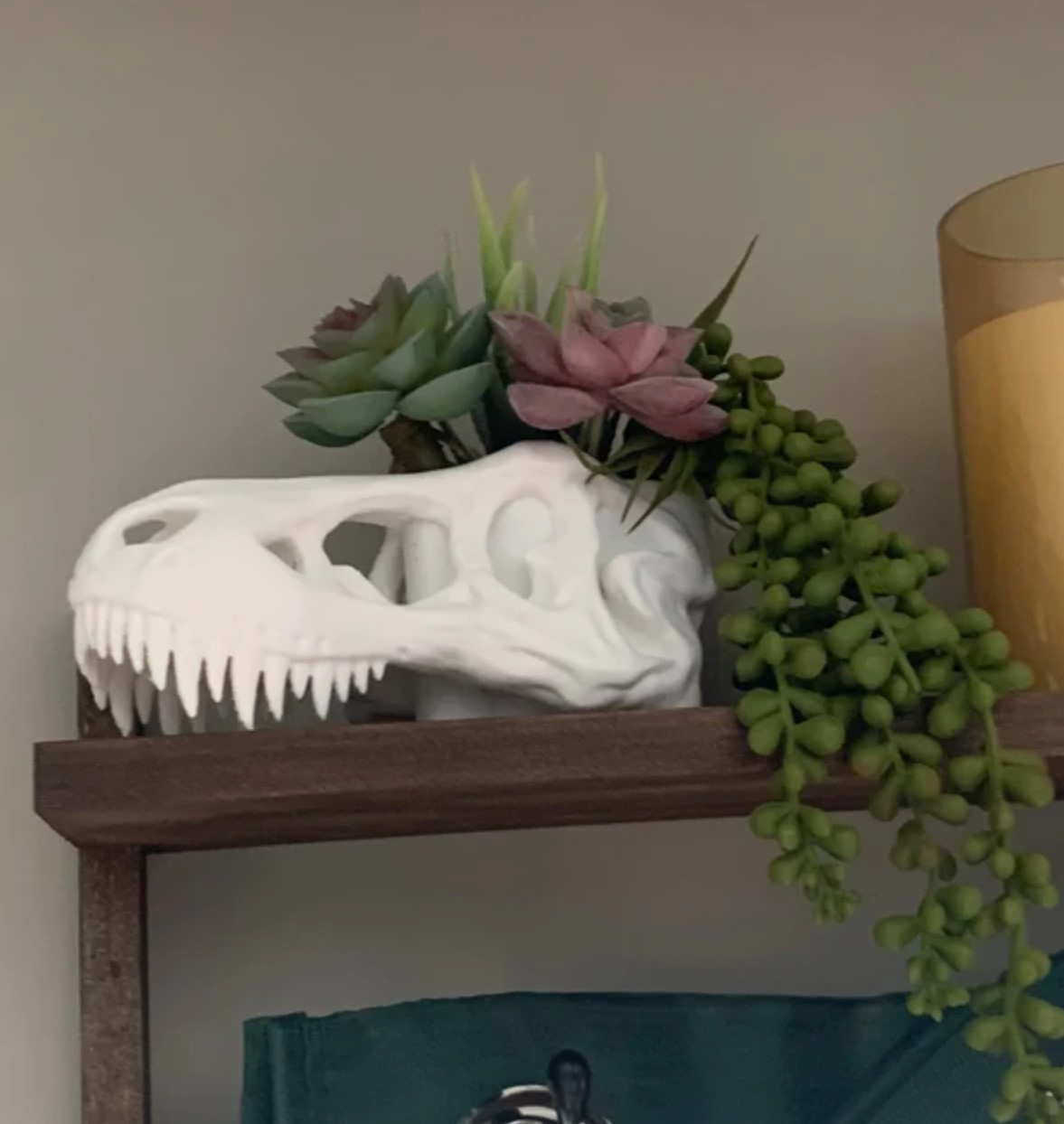 White Dinosaur Skull Planter – Decorative Flower Pot, Animal Lover