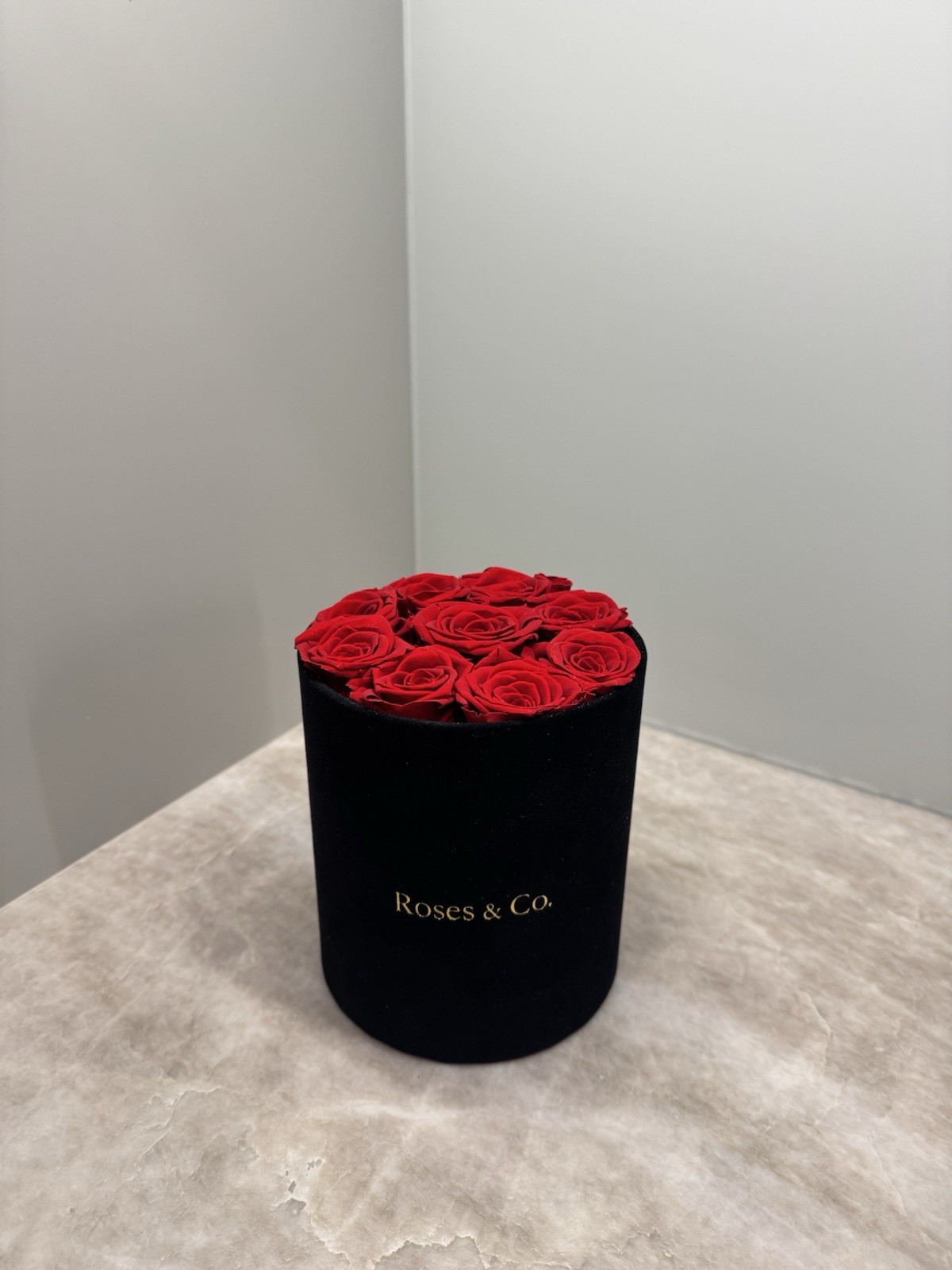 Premium Red Rose Box 9 Preserved Dutch Roses Velvet Luxury Gift for Her