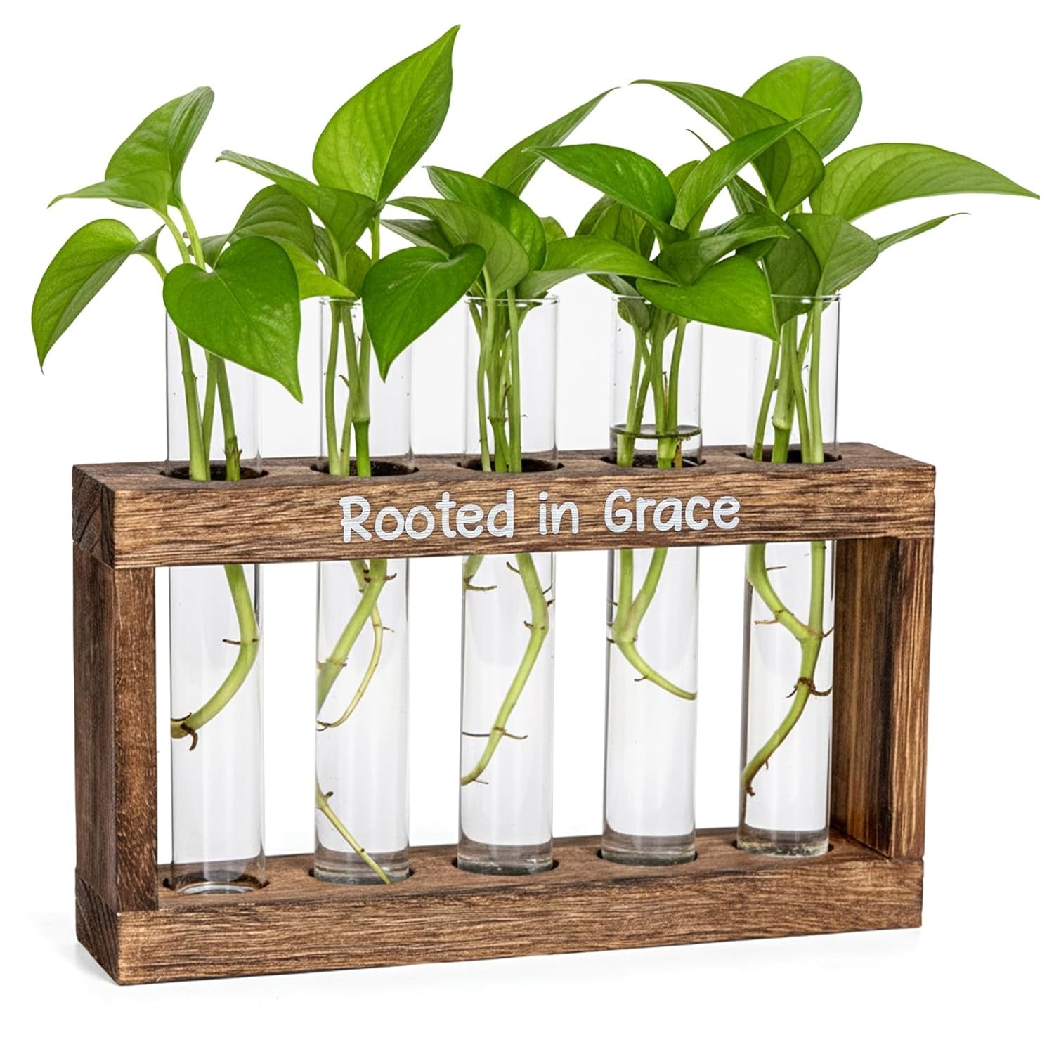 Rooted in Grace Plant Propagation Station – Wooden Stand with 5 Glass Vases, Fai