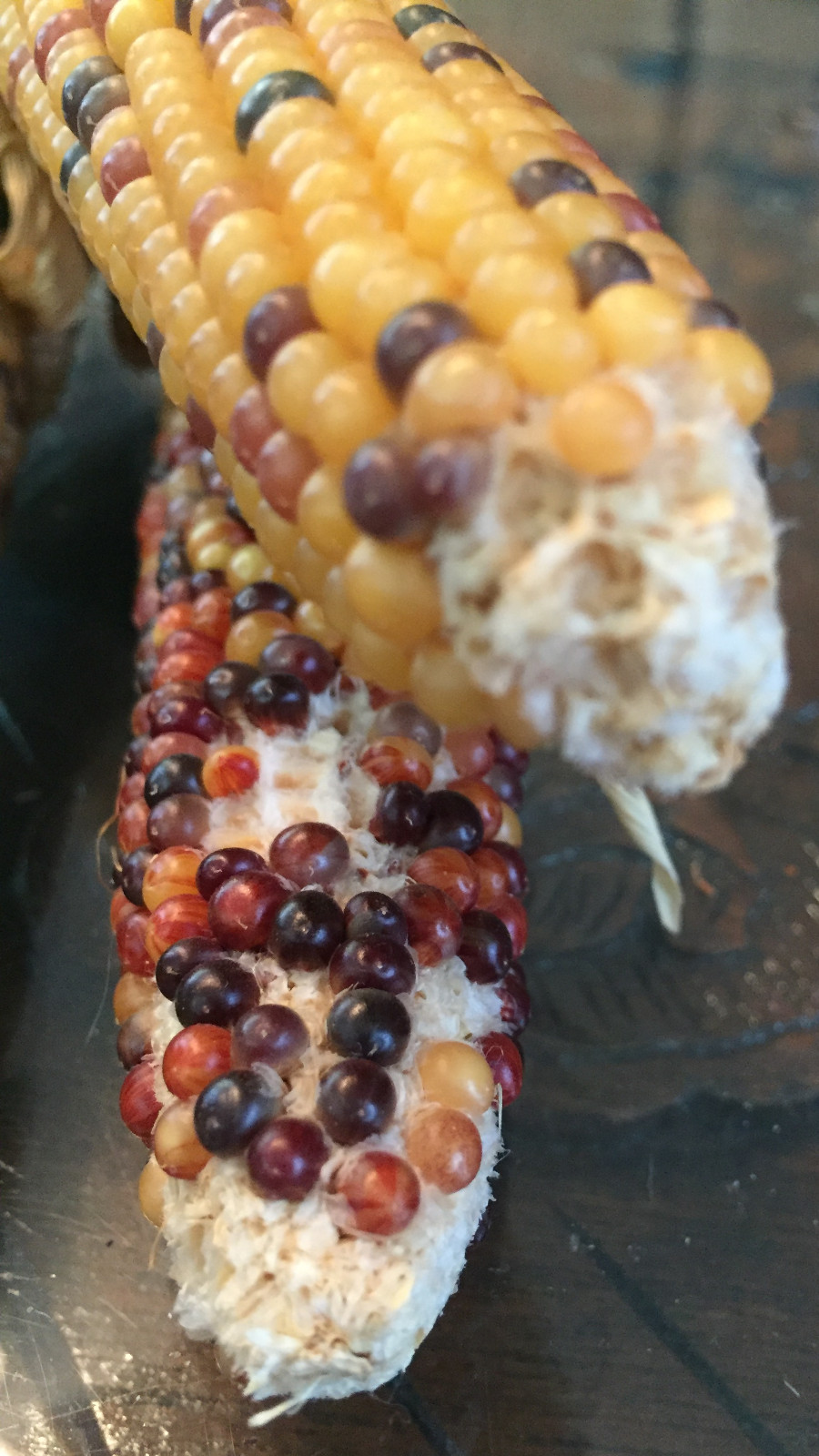 native american Indian Corn various lengths Thanksgiving Fall Decor