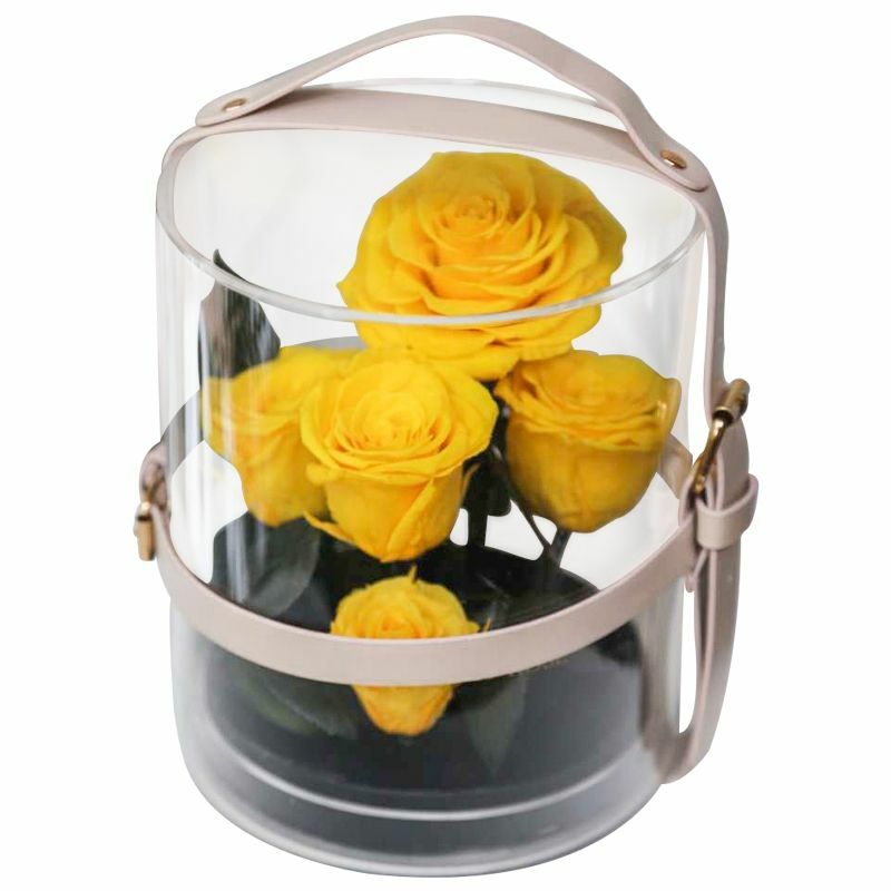 Eternal Flowers Rose Valentine Christmas Wedding Birthday Gifts For Girlfriend