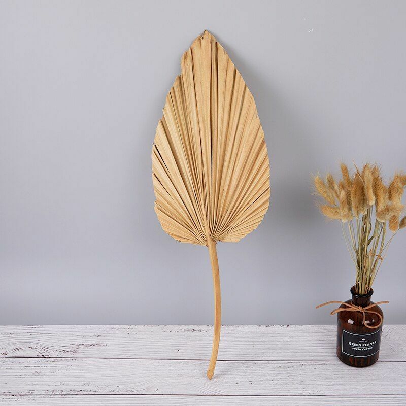 Natural Dried Flower Palm Leaf Fan Plant Party Wall Hanging Wedding Decor DIY