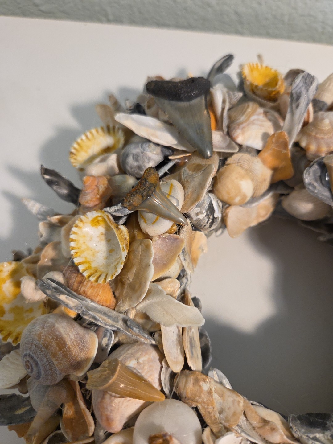 Coastal Seashell Wreath Fossil Shark Teeth Nautical 10″ Center Piece, Hang