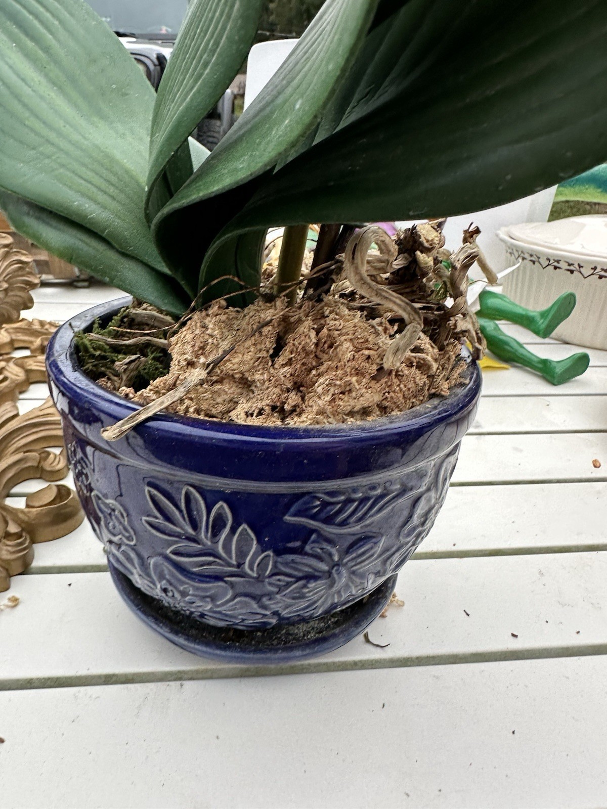 Purple Silk Real Touch Orchid In A Cobalt Blue Pot