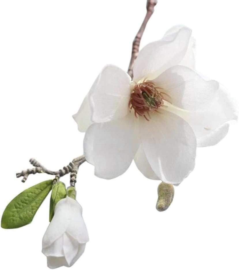 White Artificial Magnolia Fake Silk Flower Single Floral Be used for Home Dec…