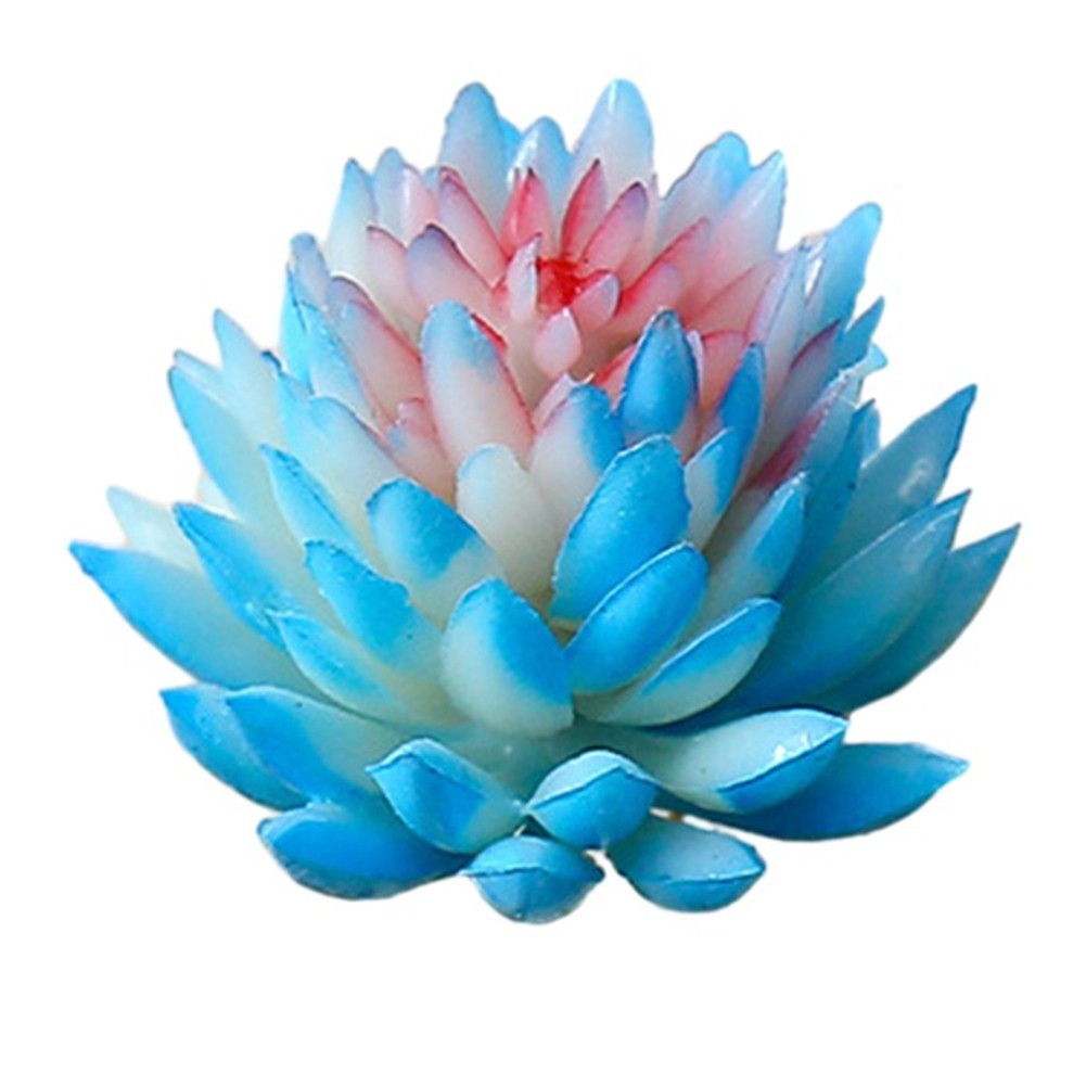 Realistic Artificial Succulent Simulation Plant Perfect for Home and Office