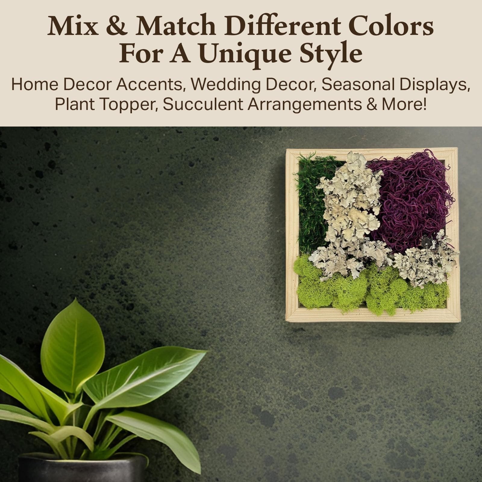 Natural Decorative Moss Variety Pack – Non-Toxic Craft & Home Decor – Red Mix, 2