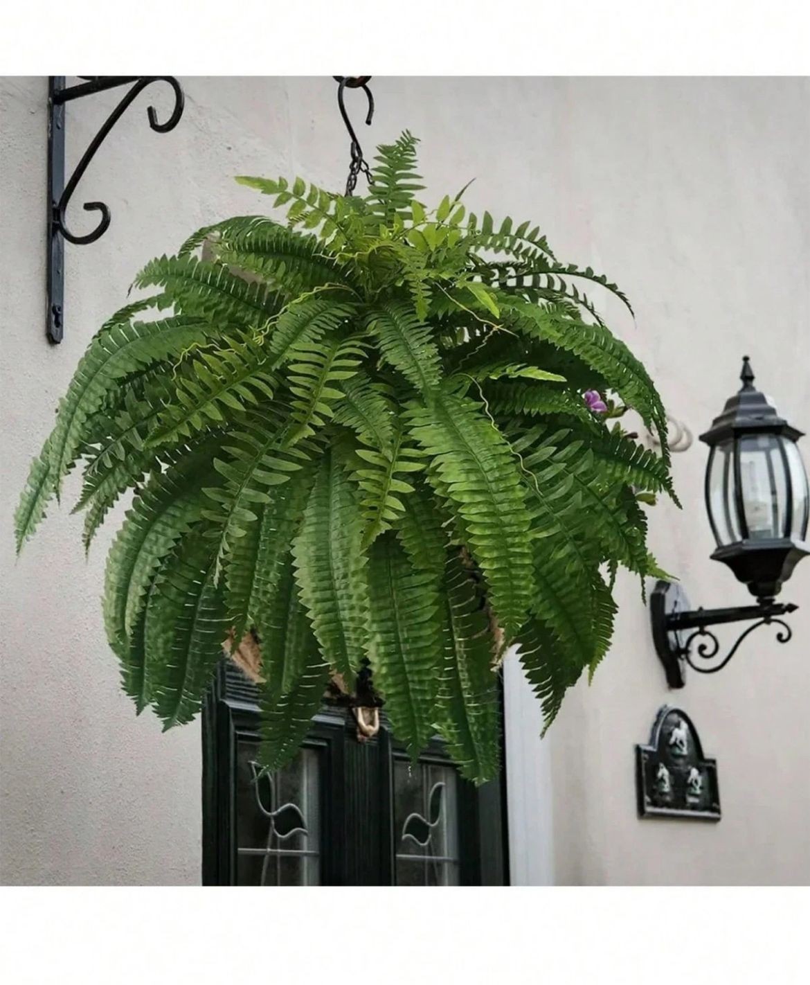 2 Pack Artificial Large Boston Fern Plant Wall Hanging Decoration Home Decor