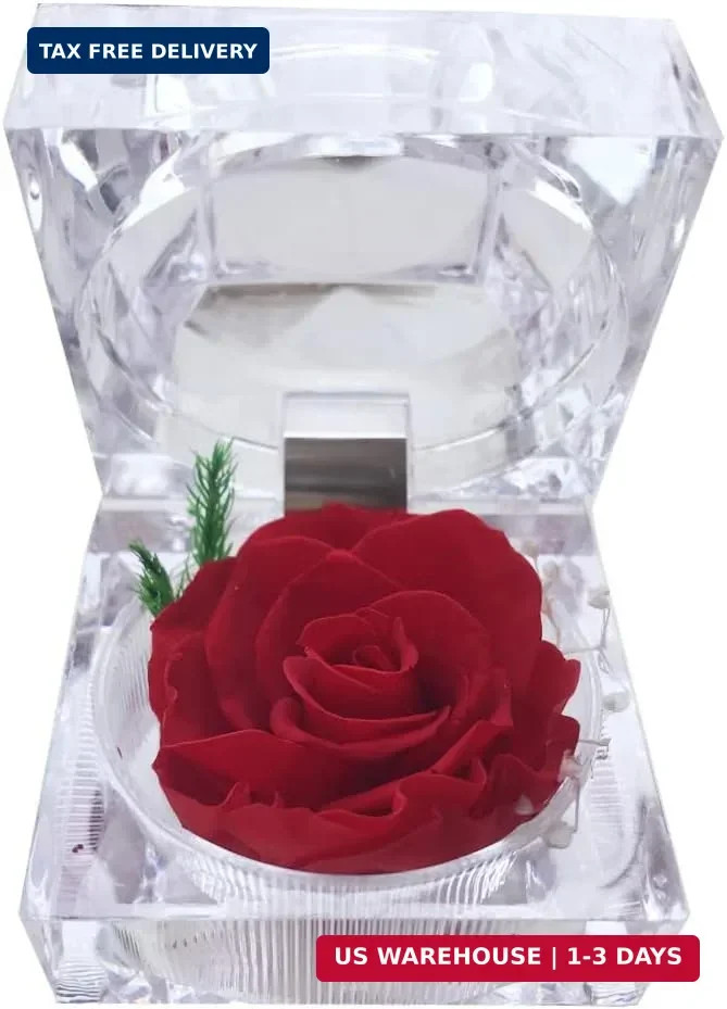 Preserved Rose Real Forever Rose in Mini Clear Ring Box, Eternal Flower Rose Gif