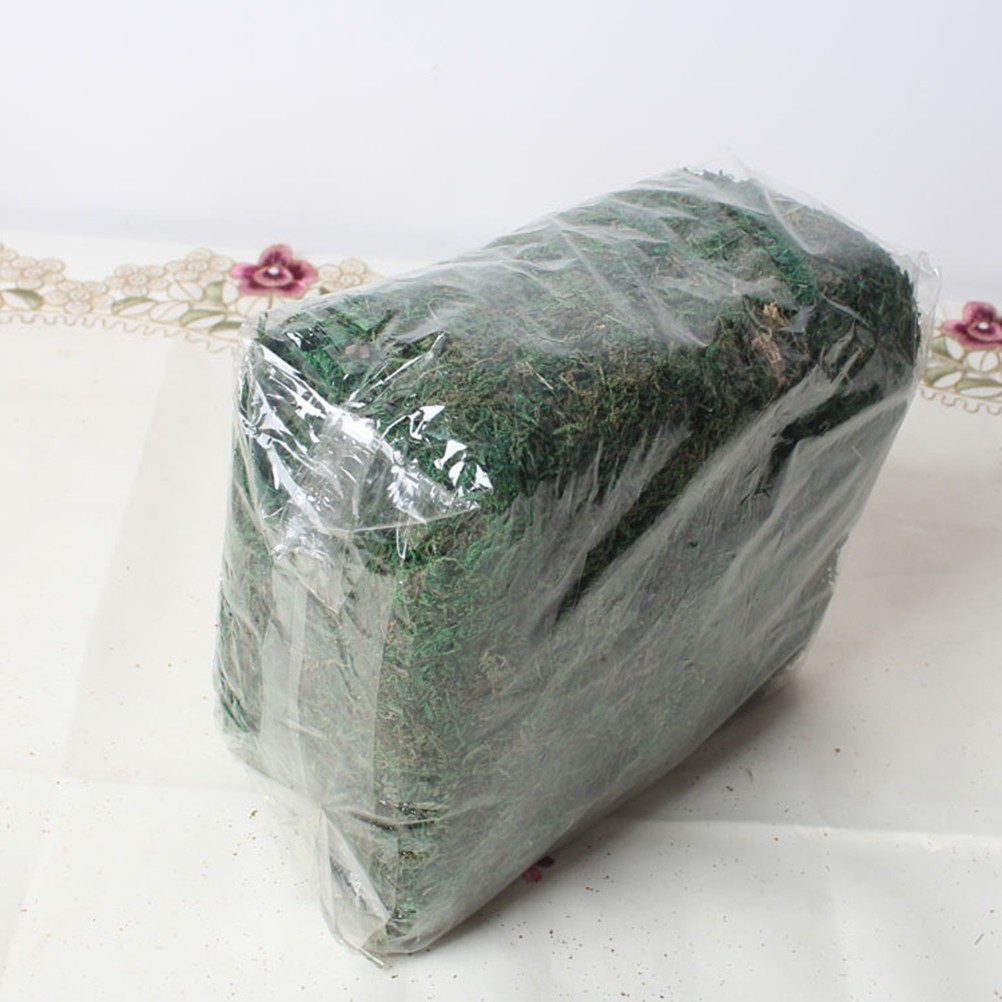 5 Packs Durable Lifelike Moss for DIY Mini Garden House Decoration Green