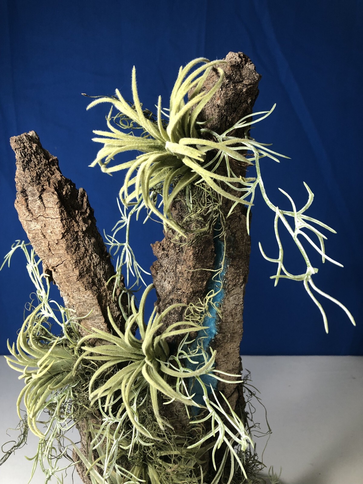 Artificial Succulent Air Plant Home Office Mounted on Real Wood Bark and Stone