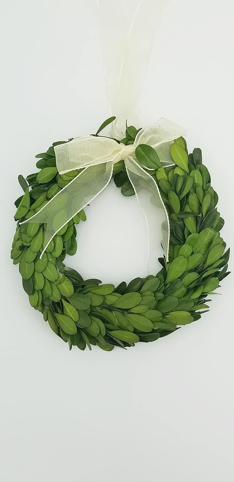Preserved Boxwood Wreath 6 In