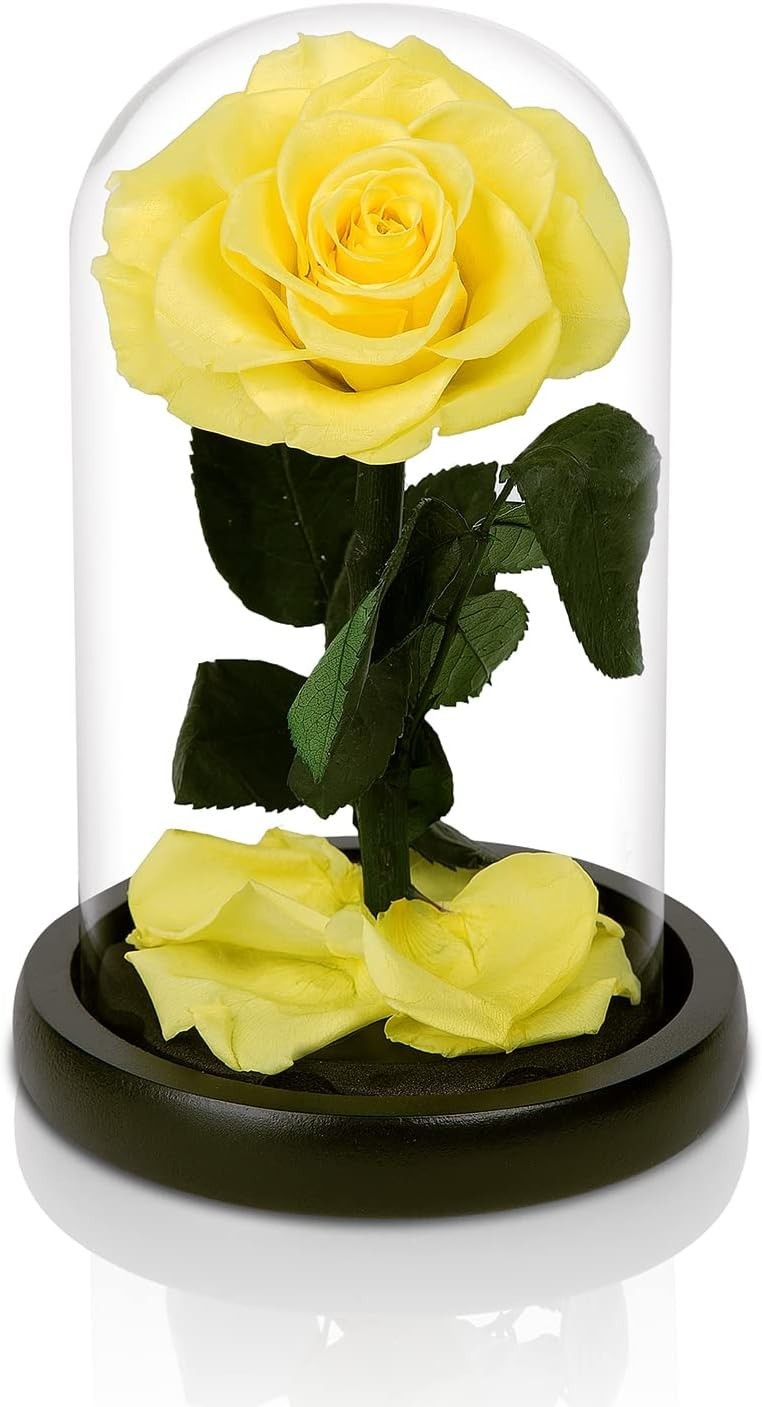 NATROSES Yellow Natural Preserved Rose in Glass Dome & Black Gift Box 7.5″H x 4″