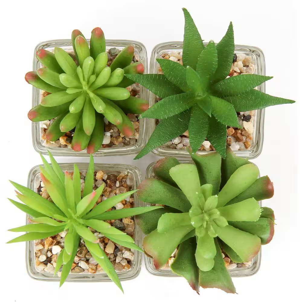 4.13 In. H Green Indoor Succulents Artificial Plant in Clear Glass Pots for Wind