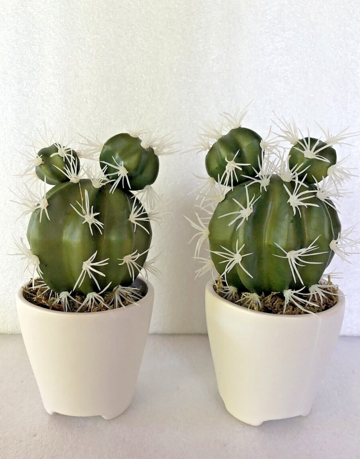 Set of 2 Faux Cactus Artificial Plants in Ceramic Pots 7″ Tall