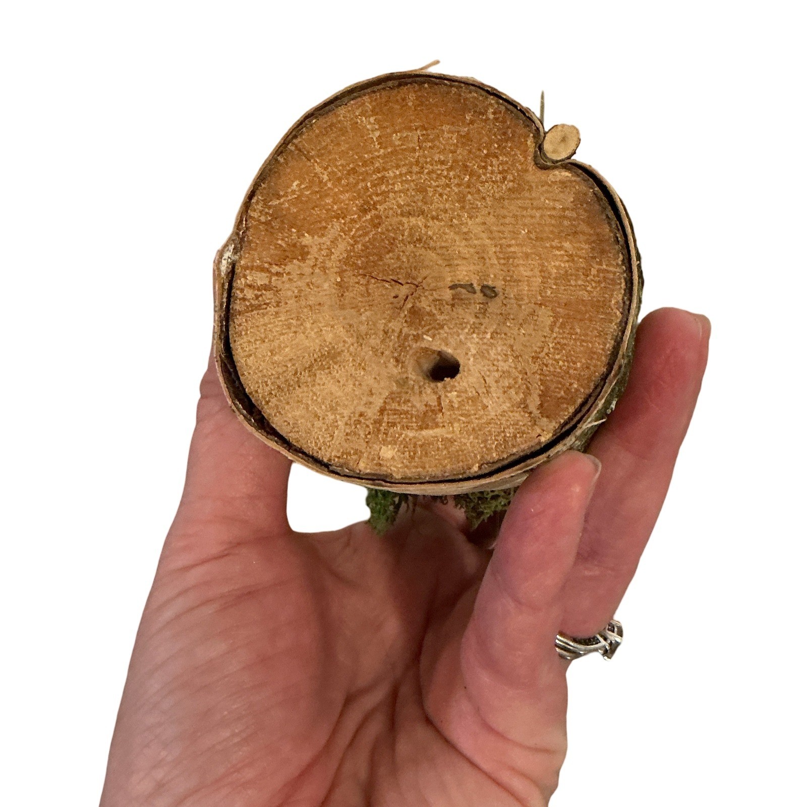 Handmade Artificial Succulent in Birch Log with Moss Rustic Woodland Home Decor