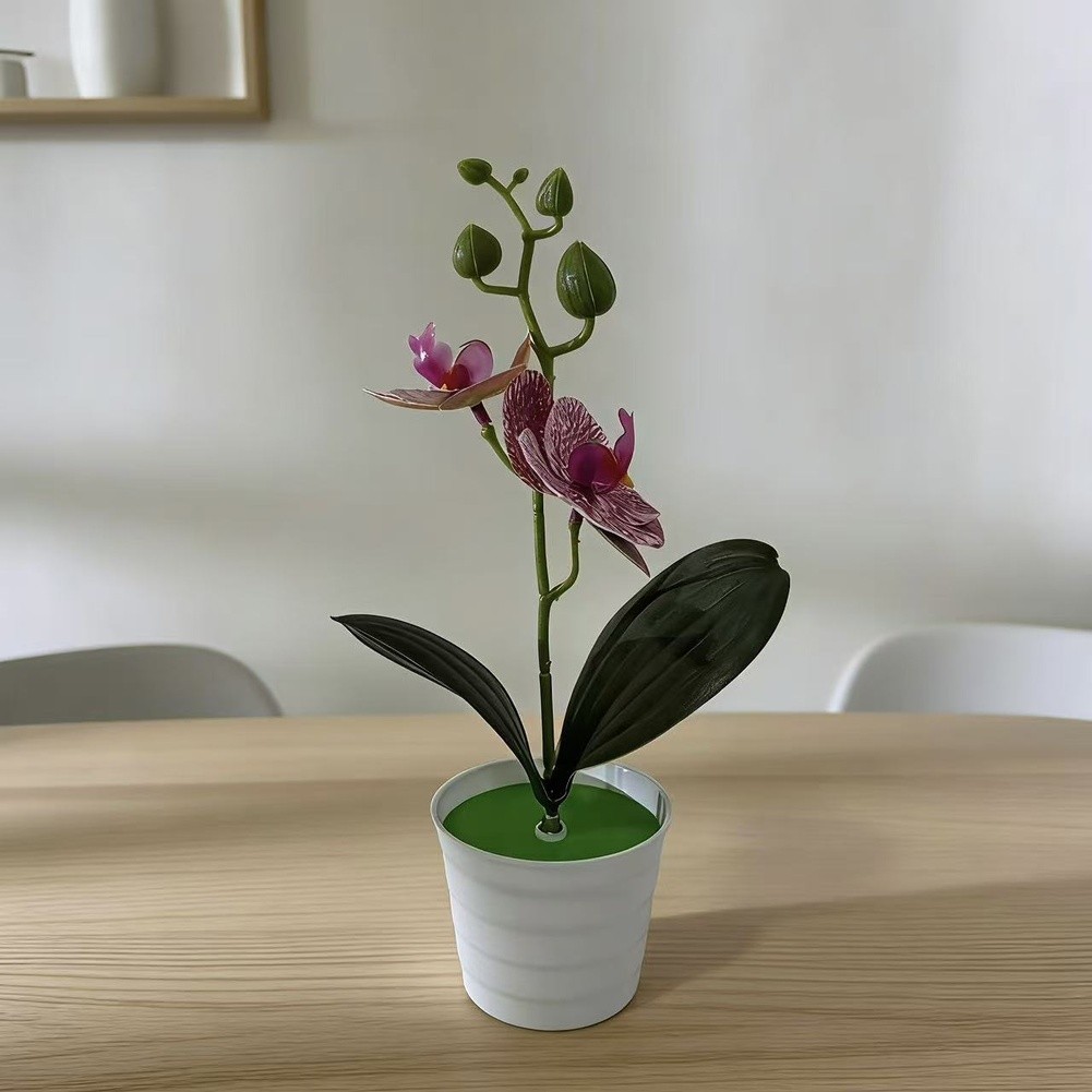 Fake Orchid Plant Phalaenopsis Type for Living Room Bedroom Study Decor Plastic