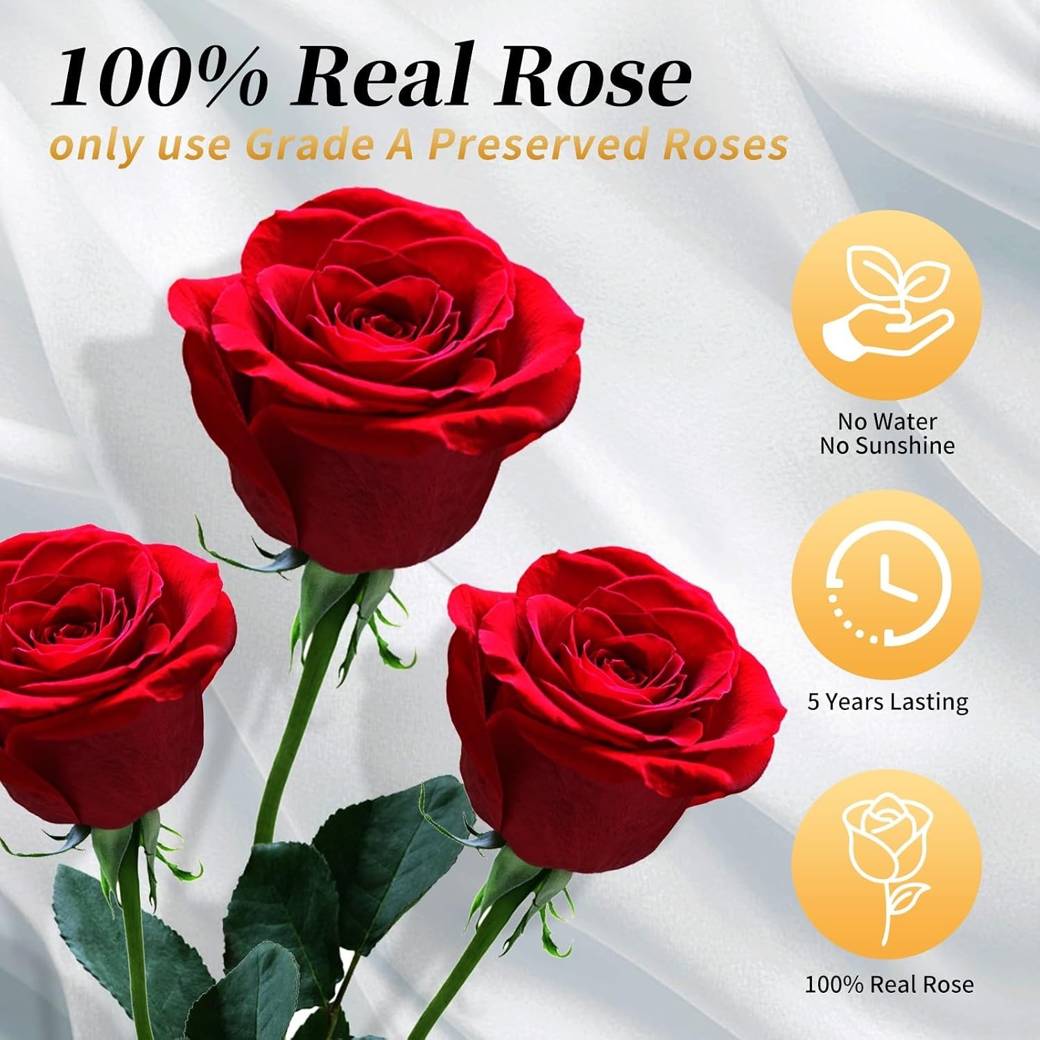 Forever Flowers Box with 4 Red Preserved Roses – Timeless Gift for Loved Ones
