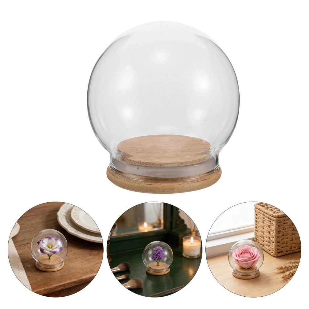 2Pcs Transparent Glass Display Dome Cloche with Base for Craft and Flower Decor