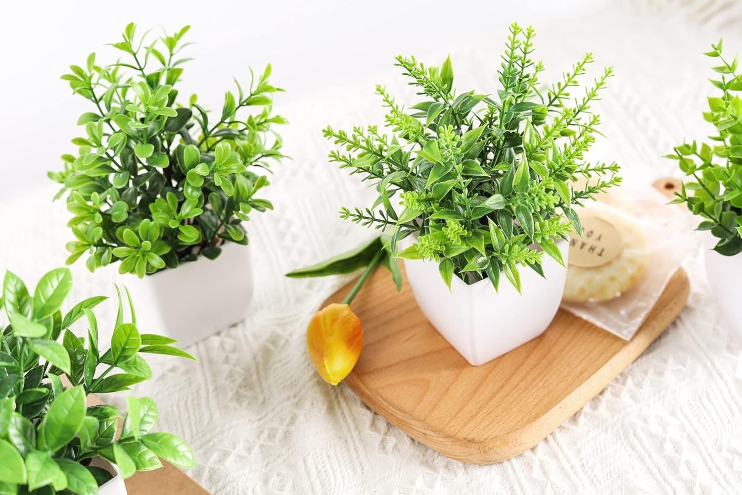 Stylish Mini Artificial Greenery Set – Perfect for Home and Office Aesthetics
