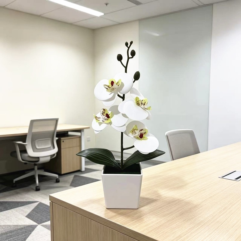 4-Bloom Faux Phalaenopsis Orchid in Trendy White Square Pot for Any Room