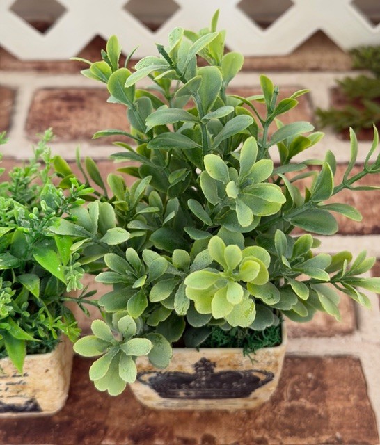 MINI POTTED PLANT 4″ ARTIFICIAL GREENERY W/ FAUX STONE POT (CHOOSE #1, #2 OR #4)