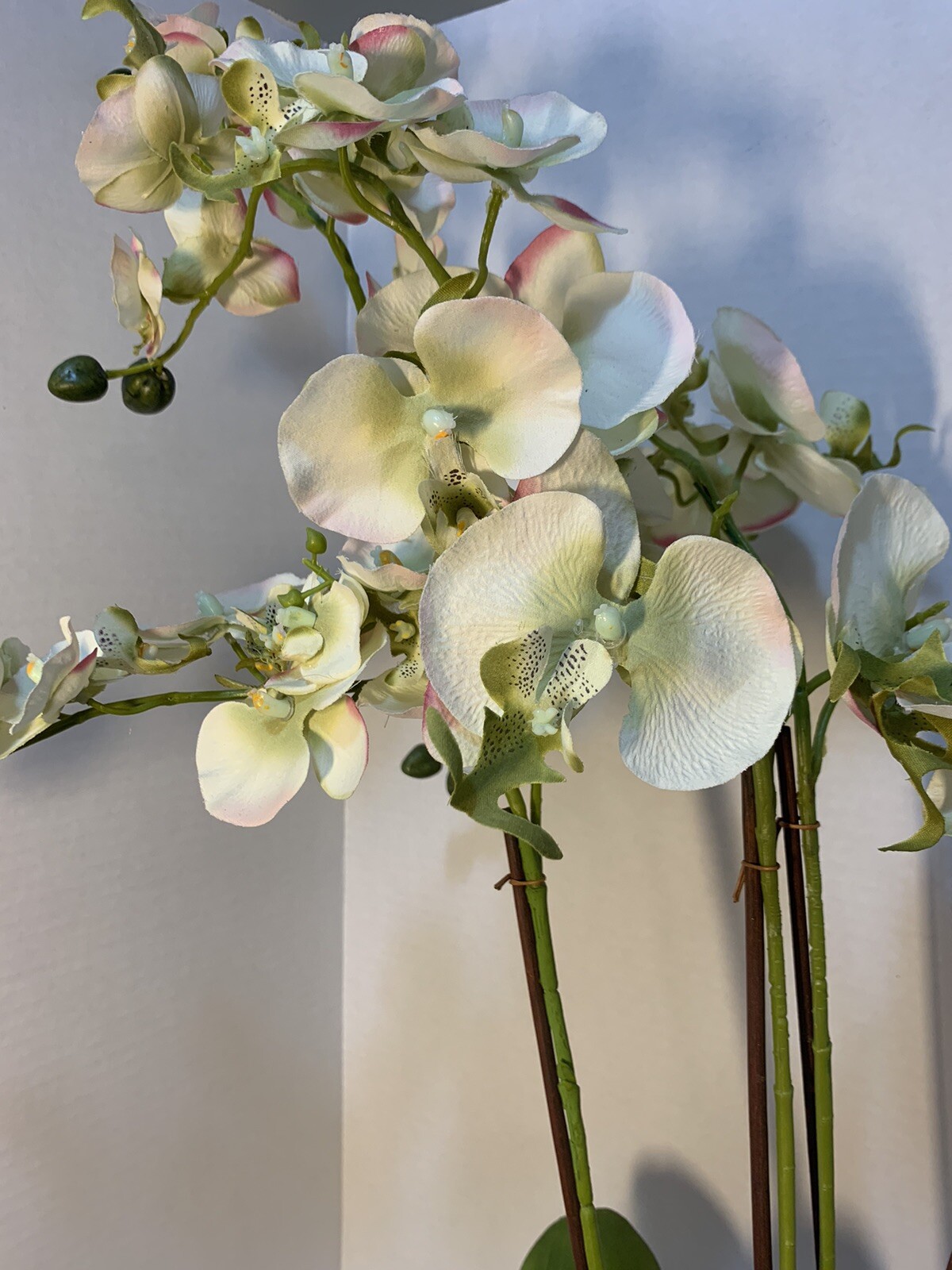 Faux White Butterfly Orchids in Planter