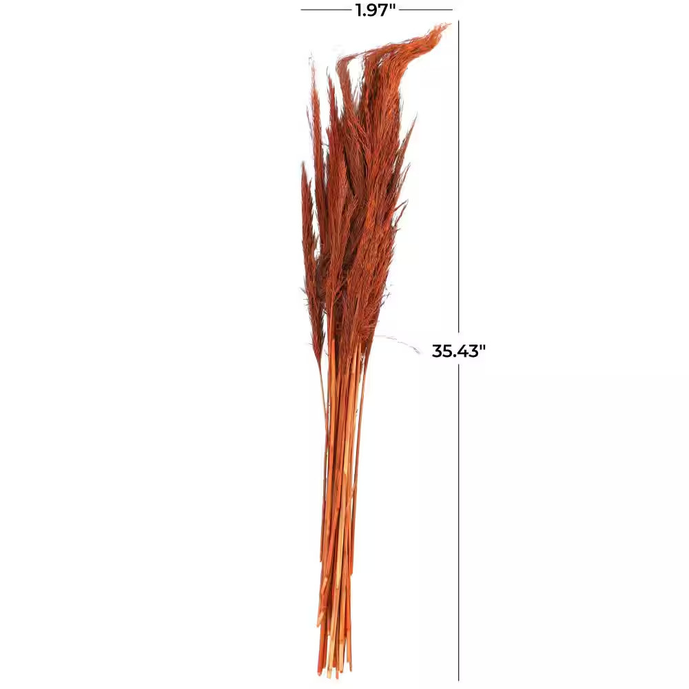 35 In. Tall Pampas Grass Natural Foliage (1 Bundle)