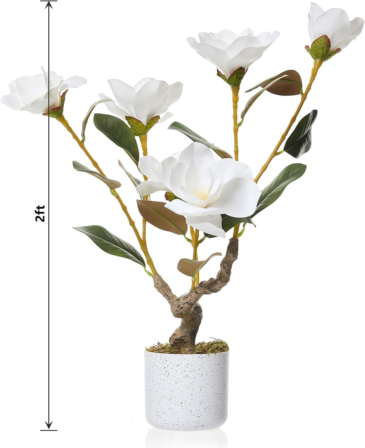 Elegant White Faux Orchid Flowers in Pot – 2 Pack, 24 Inch Indoor Decor