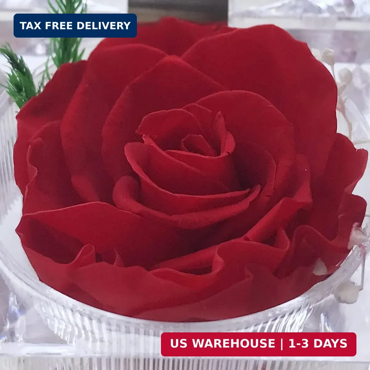 Preserved Rose Real Forever Rose in Mini Clear Ring Box, Eternal Flower Rose Gif