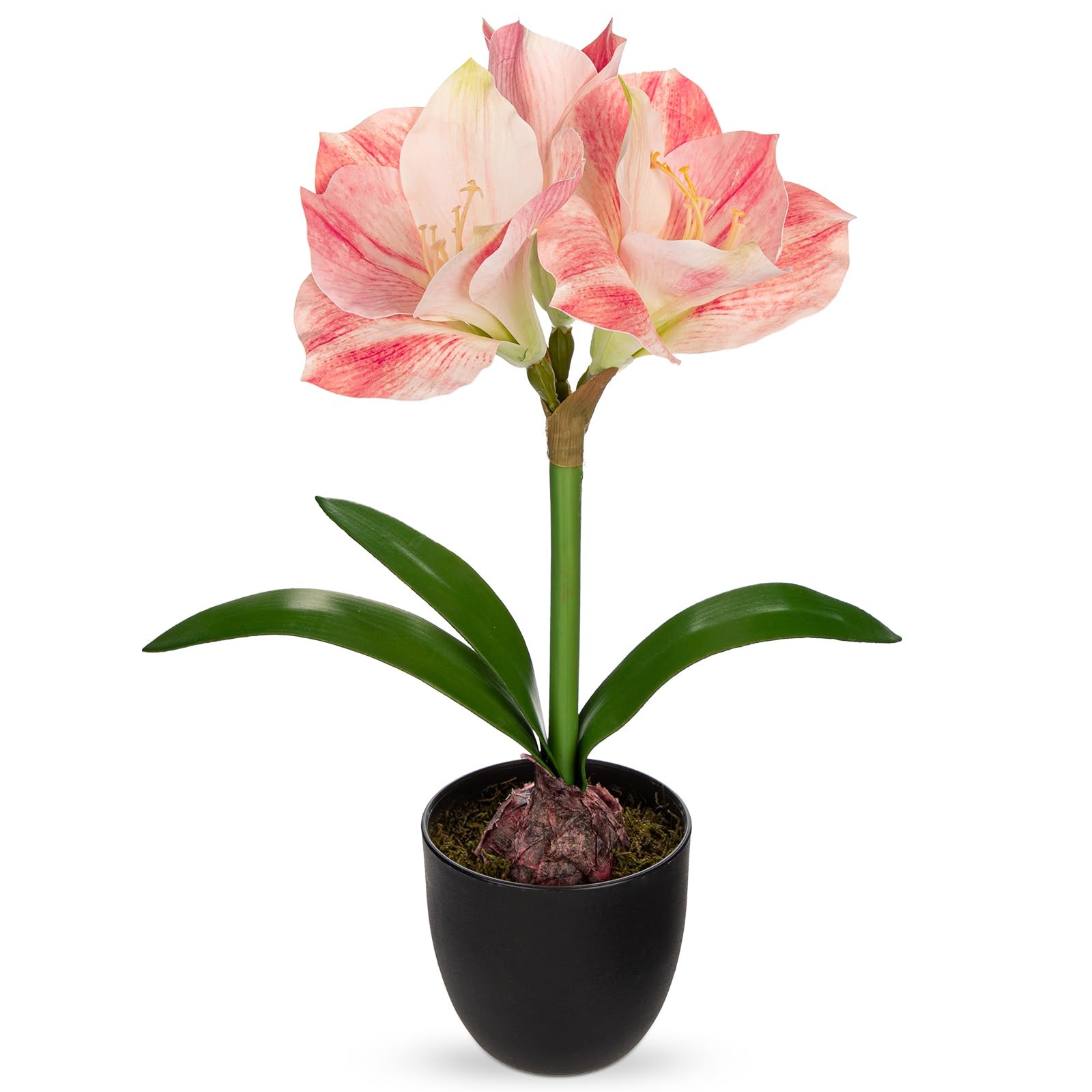 Pink Fake Amaryllis Flowers 17.3 Inch Silk Plant Black Pot Artificial Decor