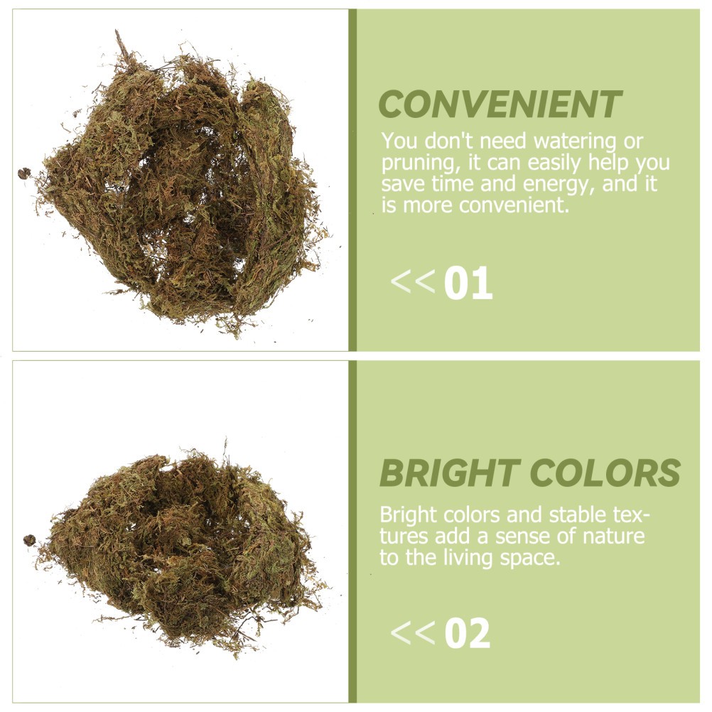 2 Packs Decorative Dried Moss for DIY Durable Green Moss for Gardening Bonsai