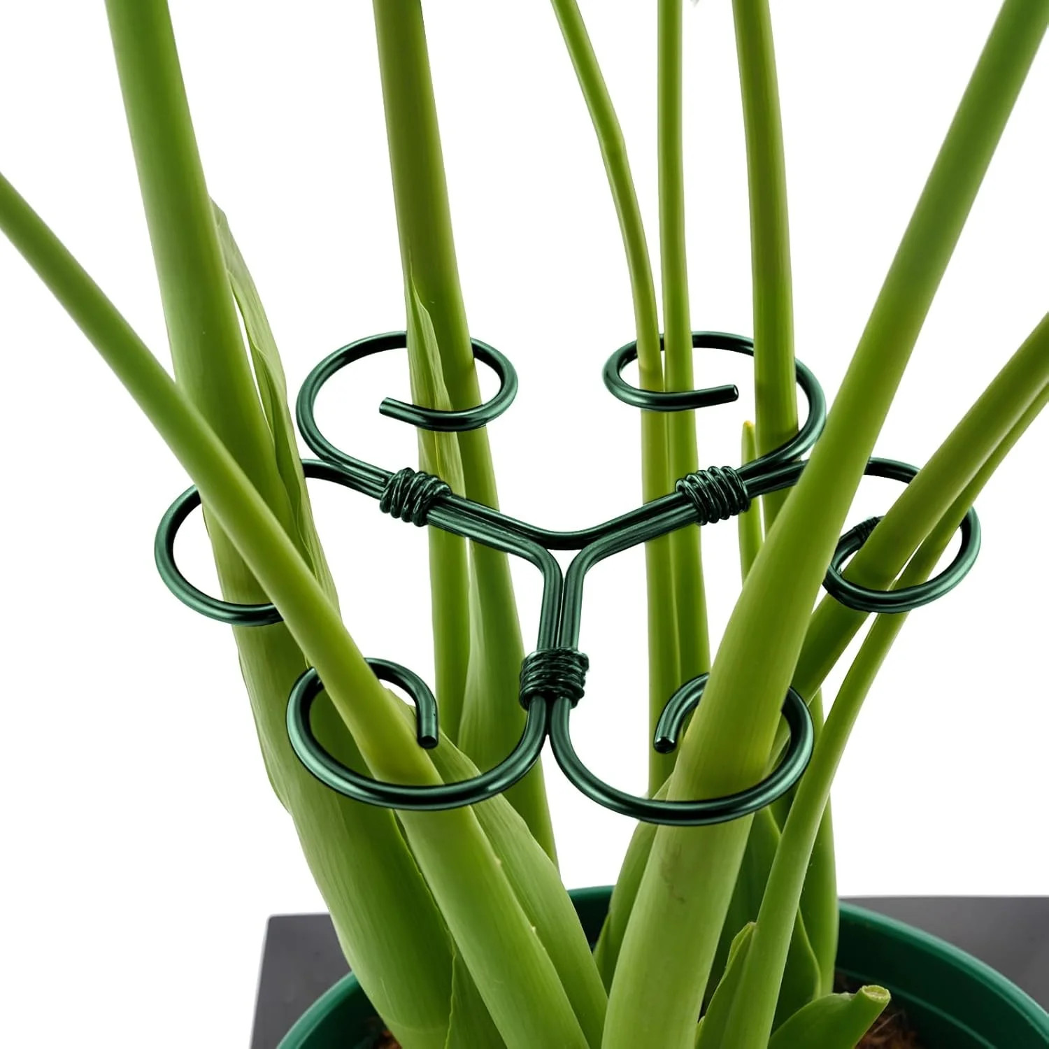 4PCS Green Iron Monstera Support, Uniquely Designed Plant Support Stakes for Ind