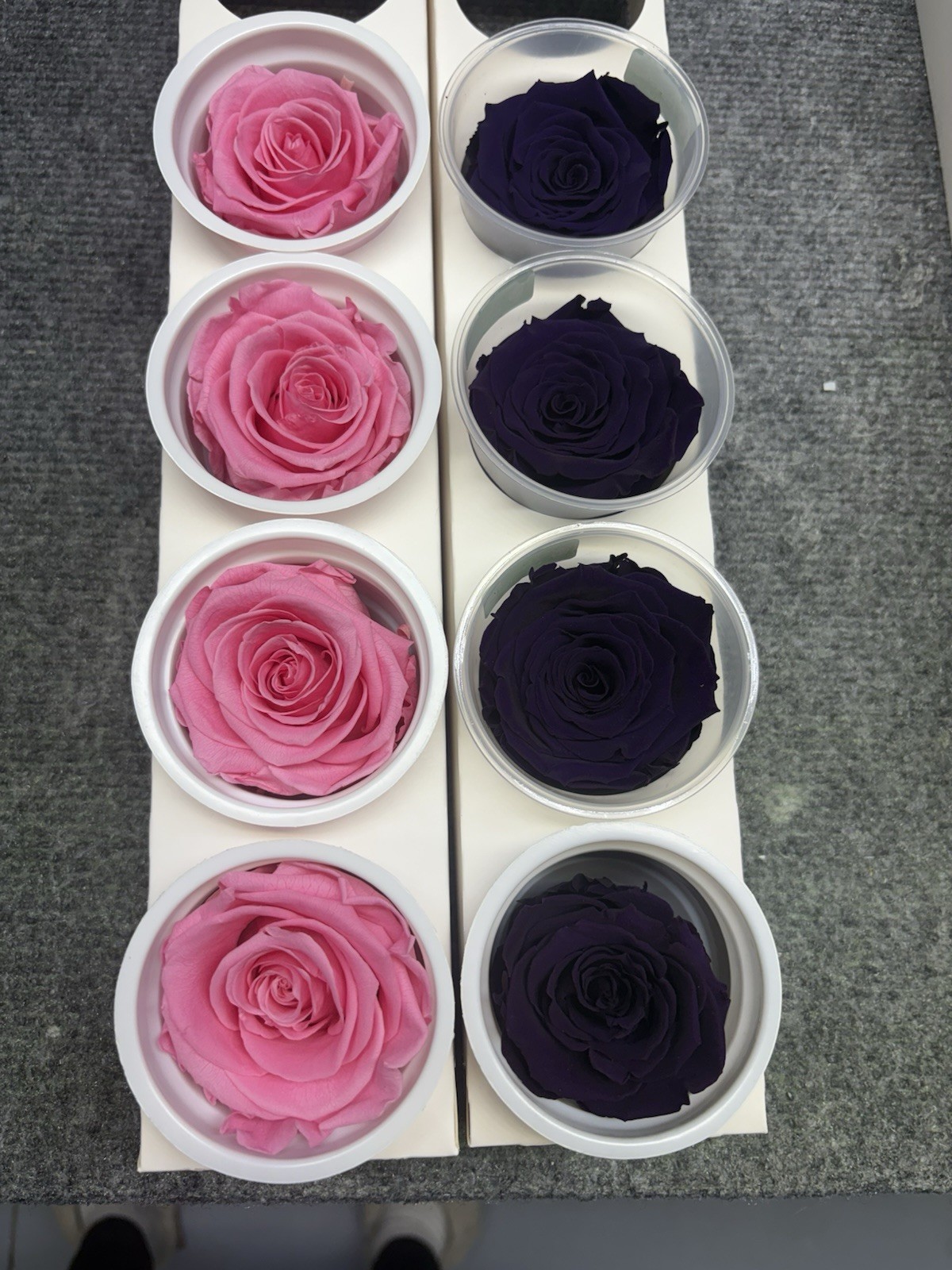 Eternal Roses Bulk 10 Packs of 6