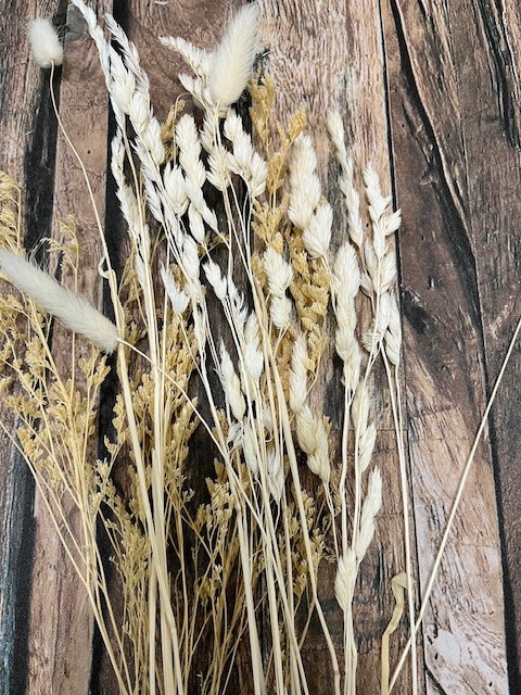 Natural Dried Pampas Grass ~ Boho ~ Home Decor ~ Wedding ~ 70 pcs