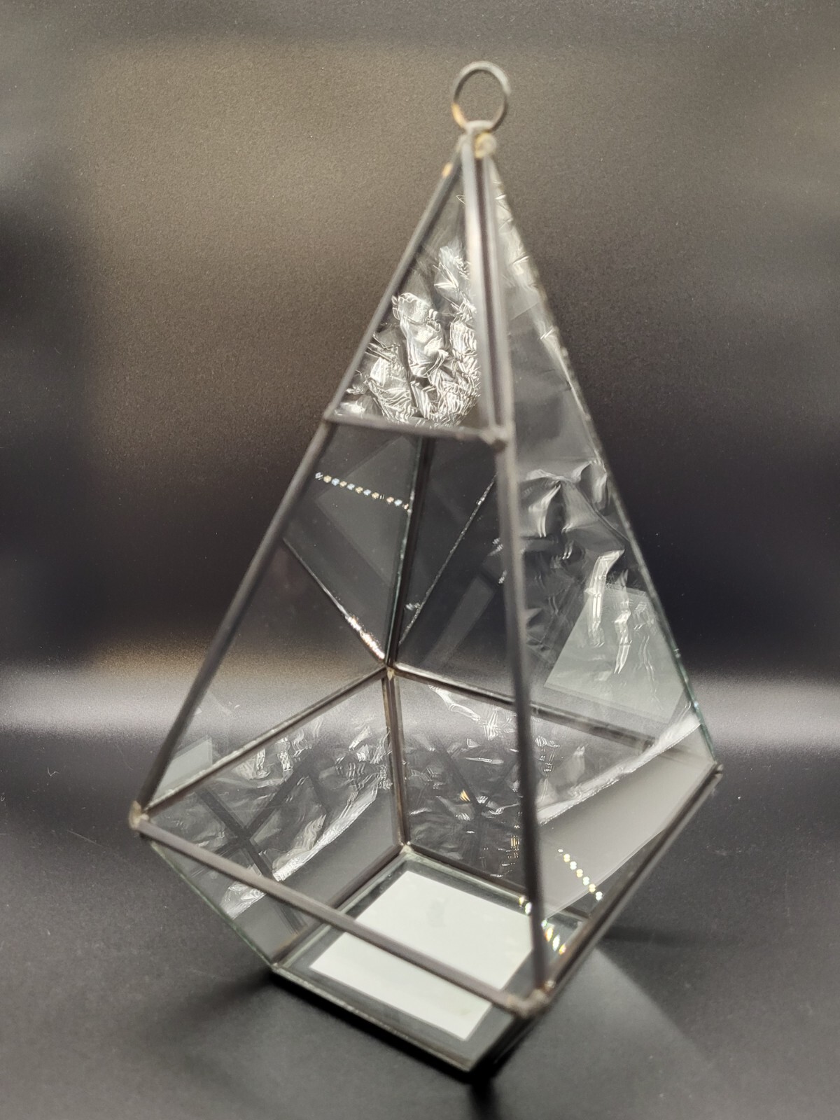 Ashland Black Metal And Glass Hanging Terrarium