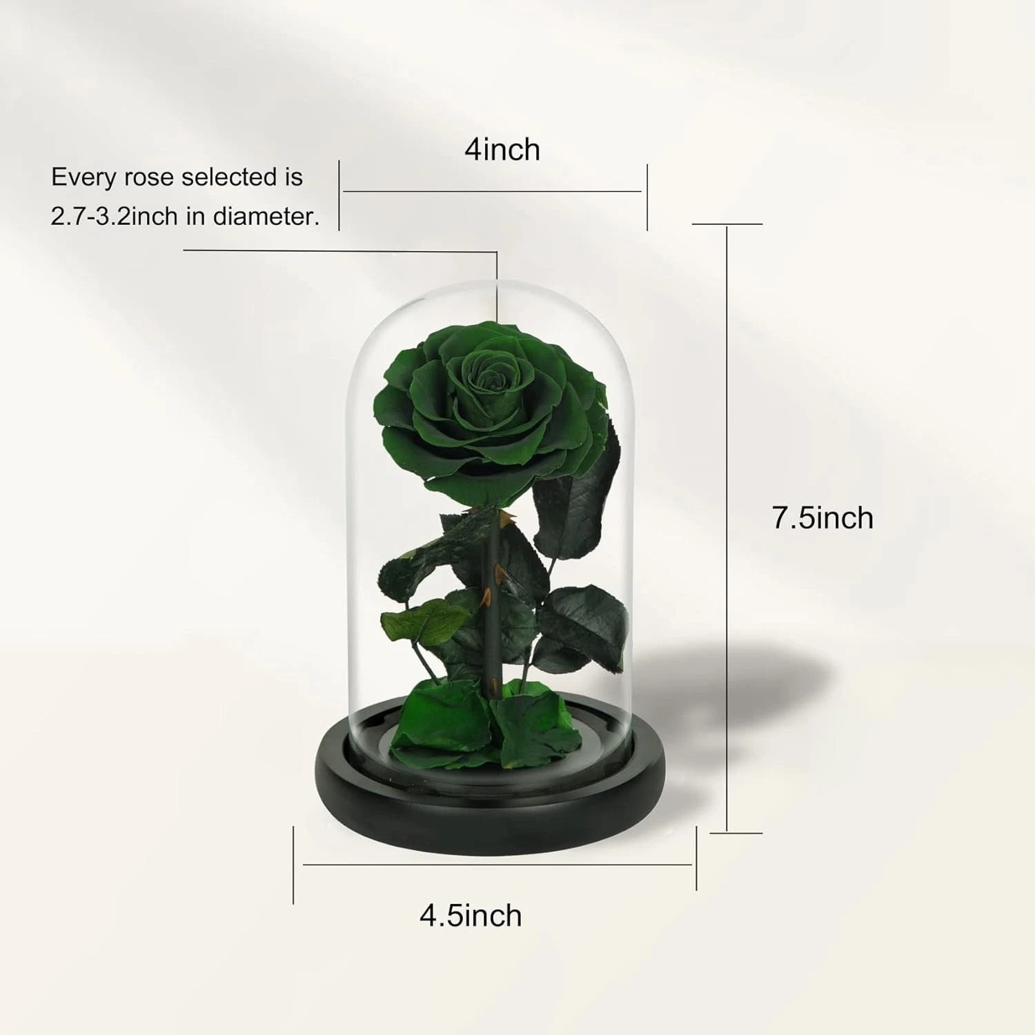 Elegant Handmade Preserved Roses in Glass Dome – Lasting Green Floral Gift