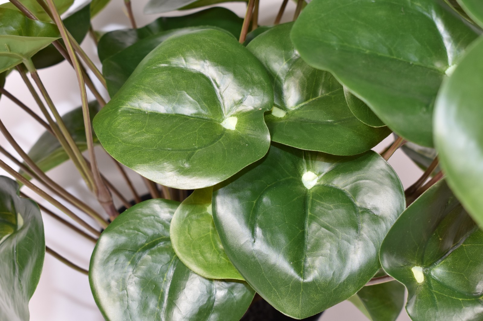 Pottery Barn Faux Elephant Ear Plant Plastic Pot Large 15″ NWOT – NO PLANTER POT