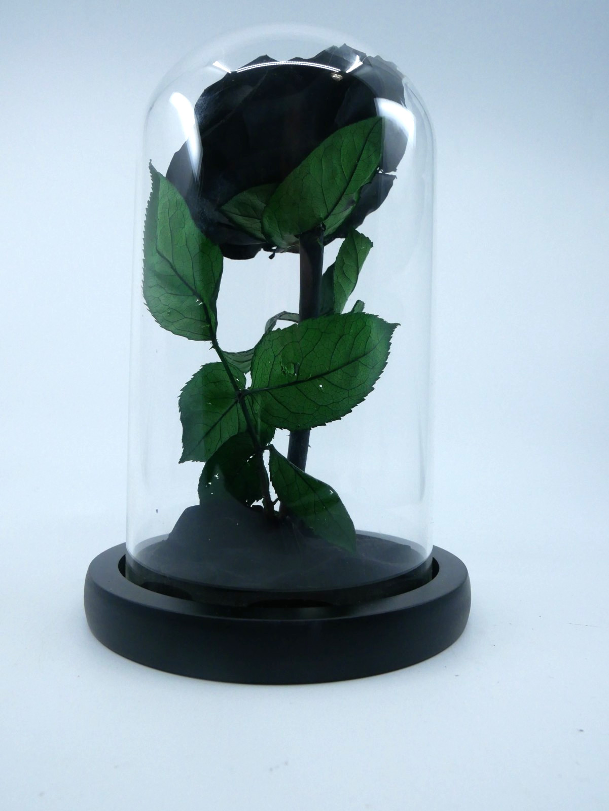 Perfectione Roses Black Rose Preserved Flowers