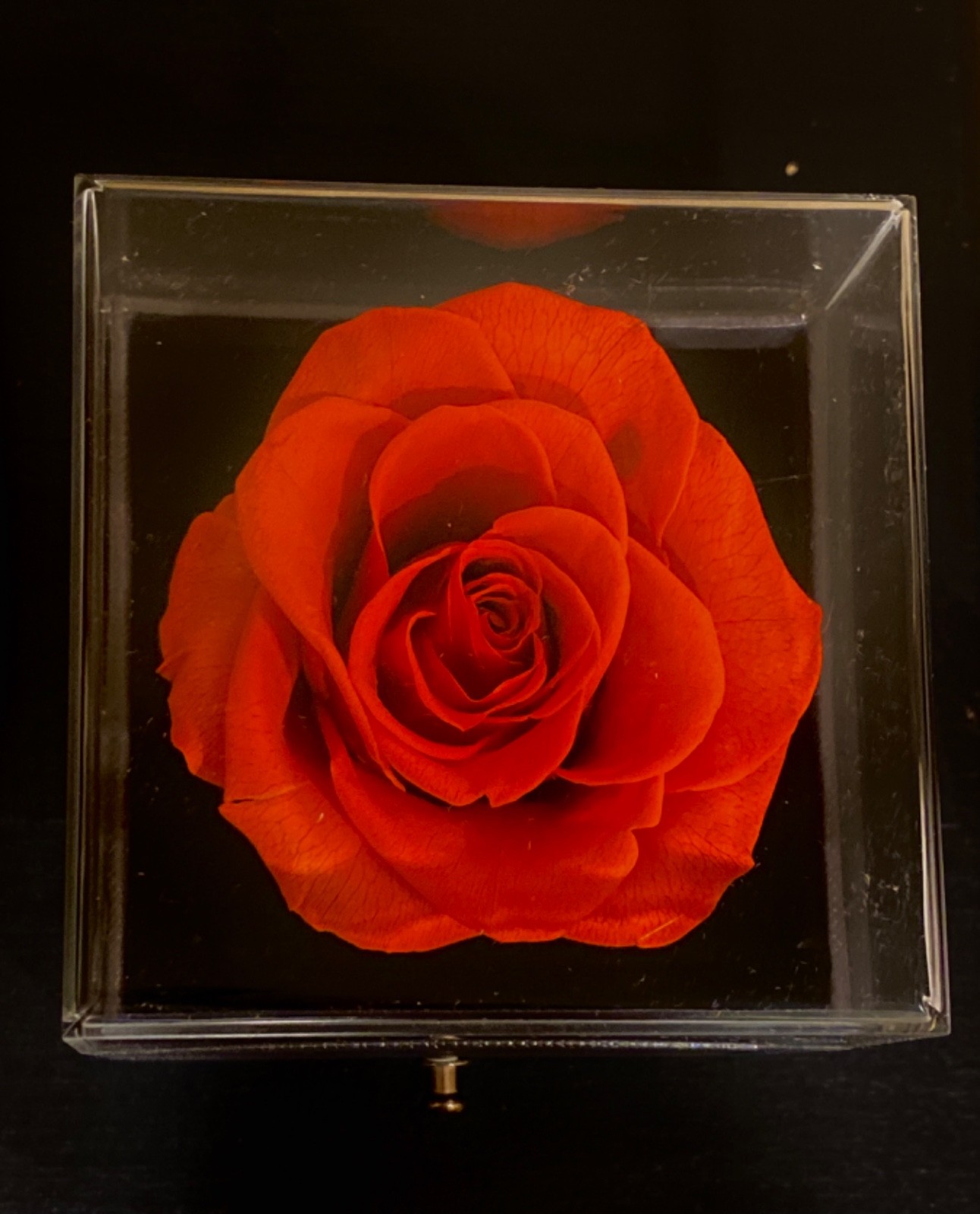 Gifts for , Preserved Real Red Rose with Necklace Gifts for Mom, Eternal Rose…