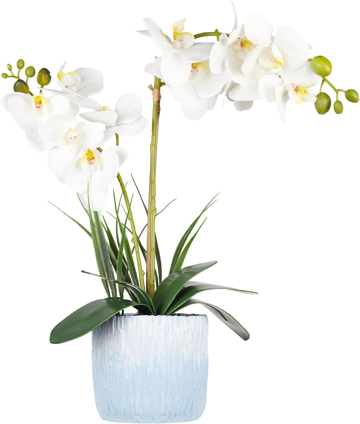 Real Touch Faux Orchid Plant in Ceramic Vase – 20.87” White Centerpiece