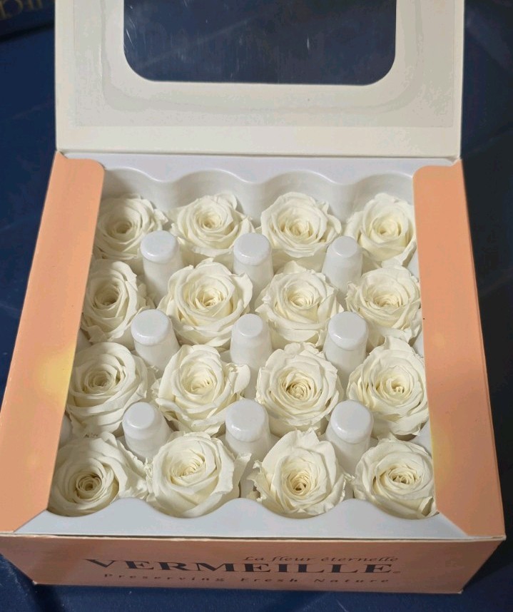 Vermeille Ava x16 Ivory Preserved Roses Mini Flowers Box Decor