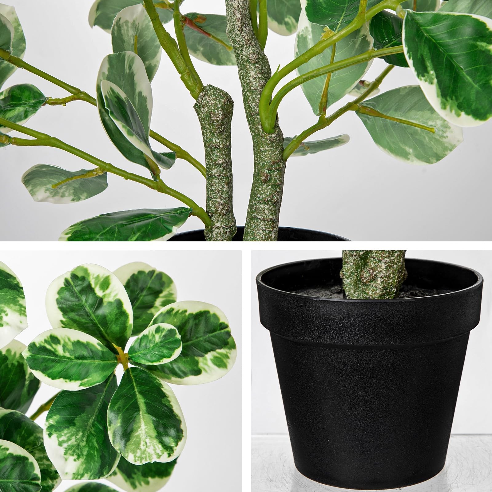 Artificial Rubber Tree Plant Black Pot Faux Ficus Cream White Edge 20 Inch