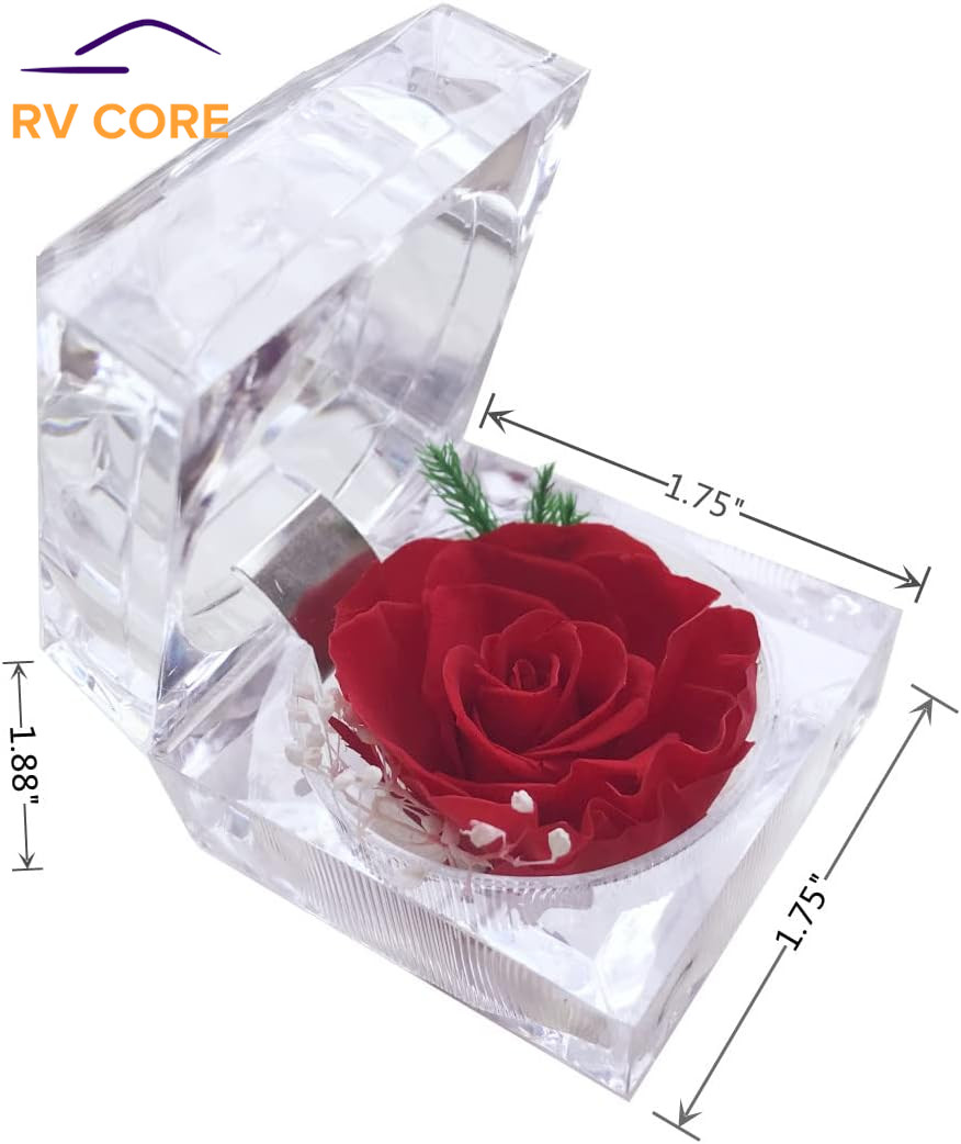 Real Preserved Forever Rose in Ring Box Gift for Mom Wife Girlfriend Red