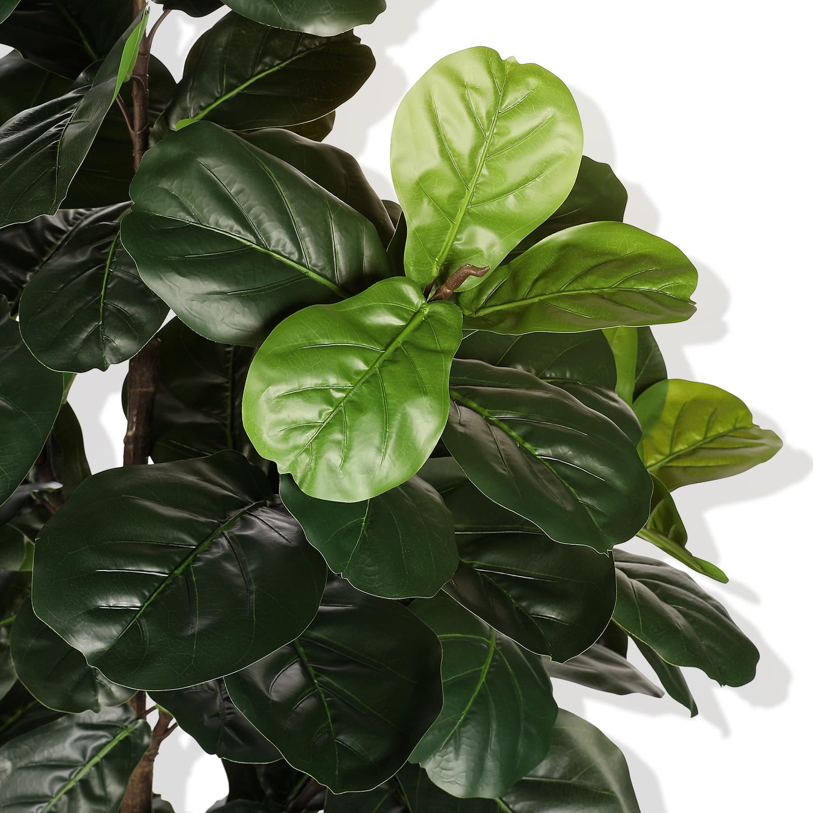 Fiddle Leaf Fig Tree Artificial – 6ft Faux Fiddle Leaf Fig Tree with White Pl…