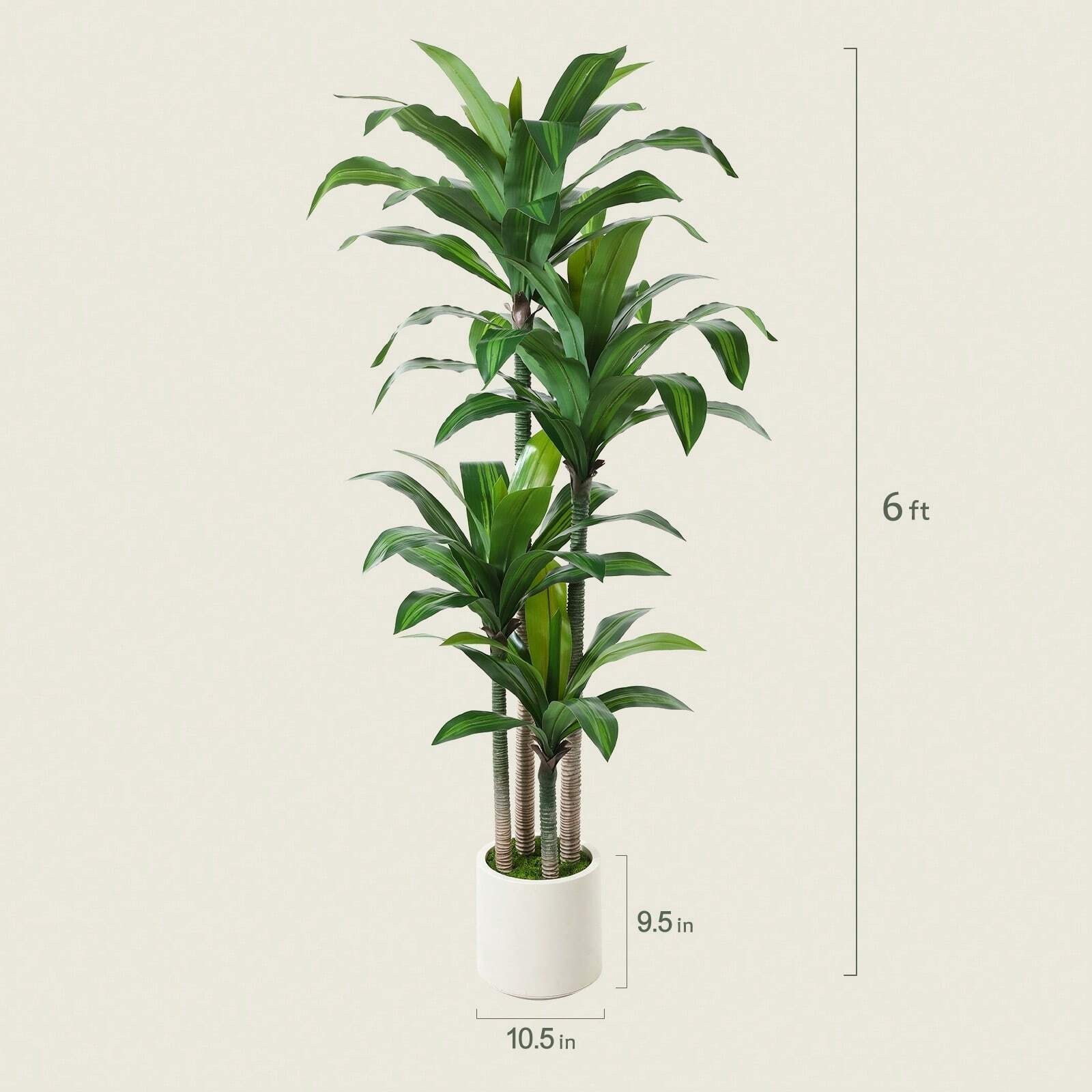 6FT Artificial Dracaena Tree with White Planter Indoor Floor Plant