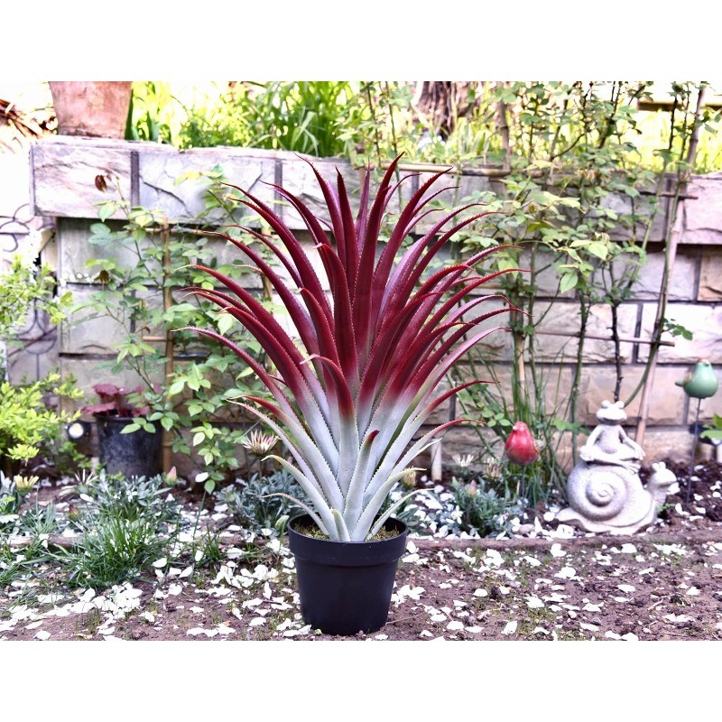 Hyper Realistic Big Red Artificial Aloe Vera Plant 26 Inches Tall. Large Faux